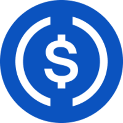 USDC logo
